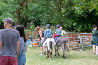 images/PRJ_7490-10342069.jpg
