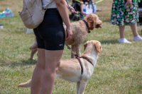 images/PRJ_9834-10344266.jpg