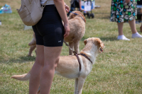 images/PRJ_9835-10344139.jpg