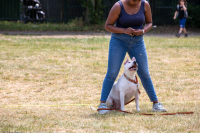 images/PRJ_9838-10344407.jpg